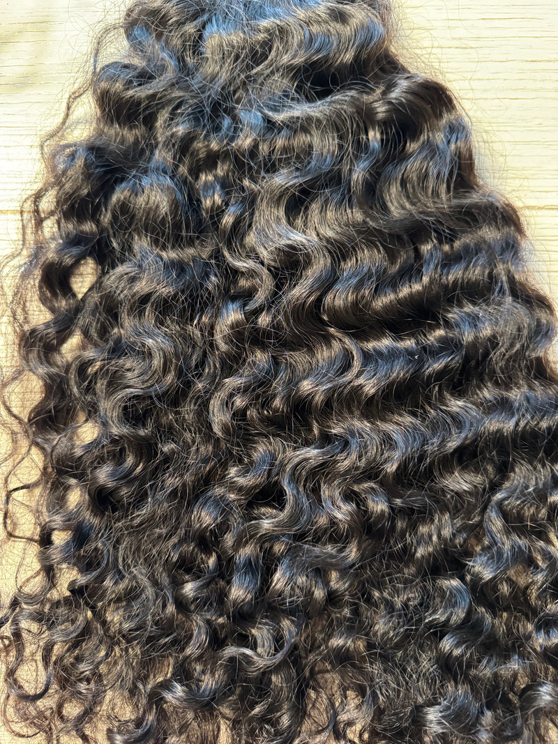 Burmese Curly